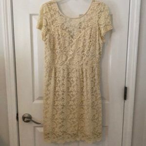 Cream Lace Dress Size XL